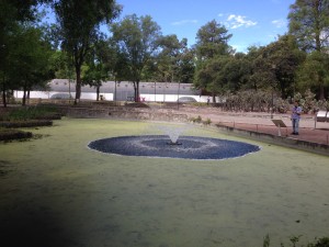 In the Jardin Botanico in El Bosque de Chapultapec