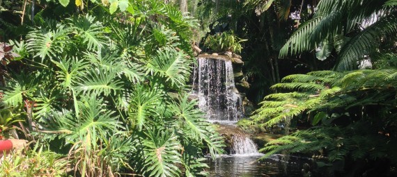 Waterfall FL