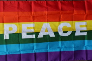 Provincetown Peace Rainbow Flag