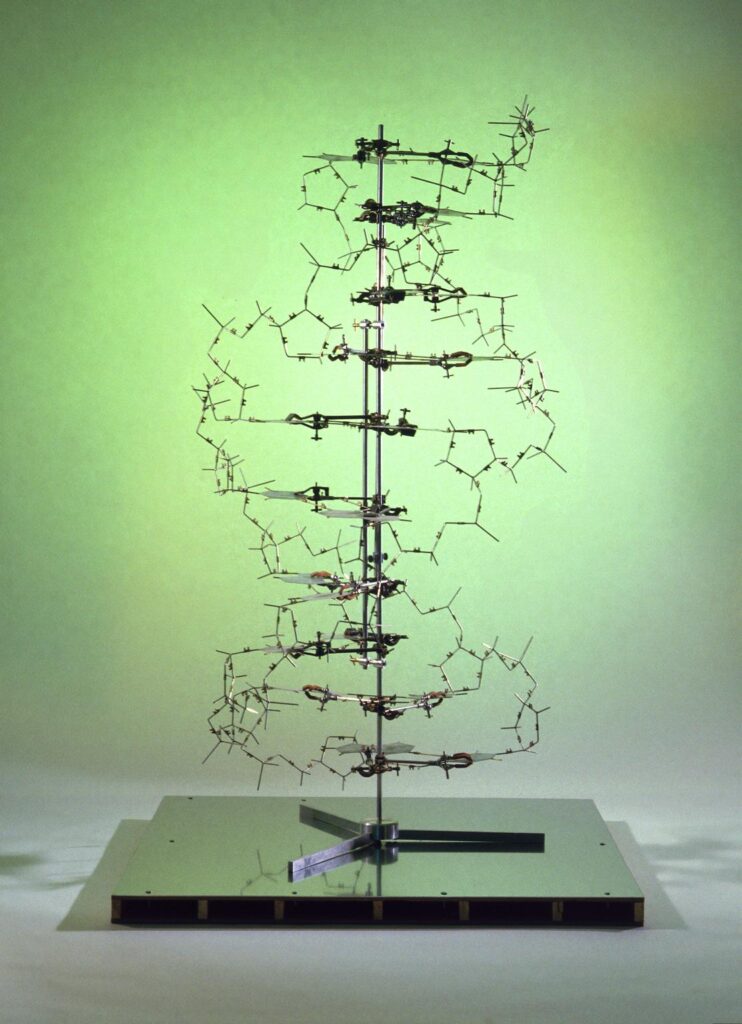 watson crick double helix 1951-1953