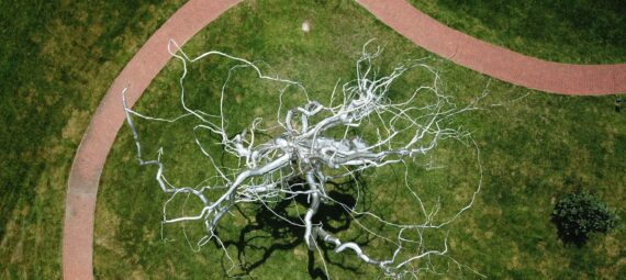 top view of a neuron sculpture in the lawn
