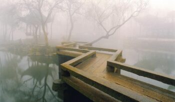 footpath in fog on swamp