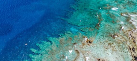 https://www.pexels.com/photo/blue-sea-shore-16671590/