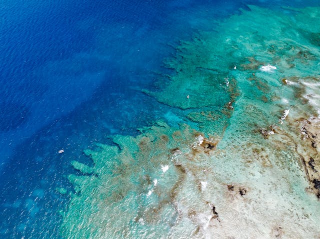 https://www.pexels.com/photo/blue-sea-shore-16671590/