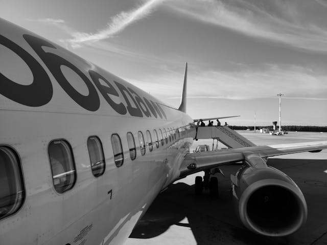 https://www.pexels.com/photo/grayscale-photo-of-an-airplane-13343879/